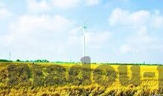 91大陆麻豆搭讪素人-在网络阴影下的真实与虚幻——91大陆麻豆的搭讪文化透视