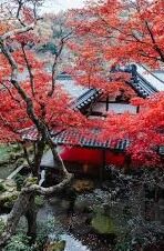 麻豆苹果app下载-麻豆苹果App，解锁创意生活的便携式娱乐窗口
