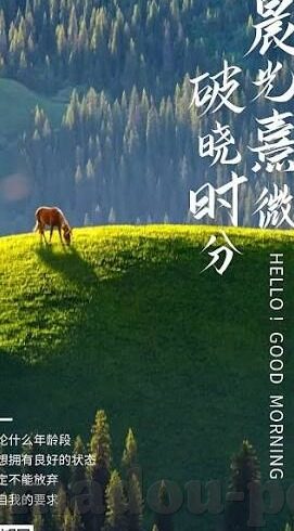 四虎人妻-探索四虎人妻现象，文化、社会与个体的交织